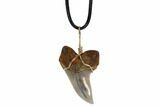 Fossil Mako Tooth Necklace - Bakersfield, California #95264-1
